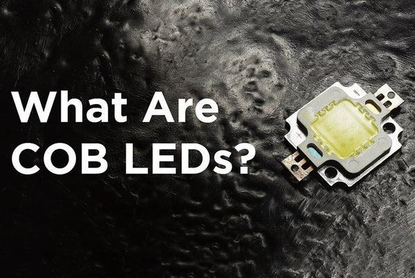 What Are COB LEDs Dephen what-are-cob-leds-dephen