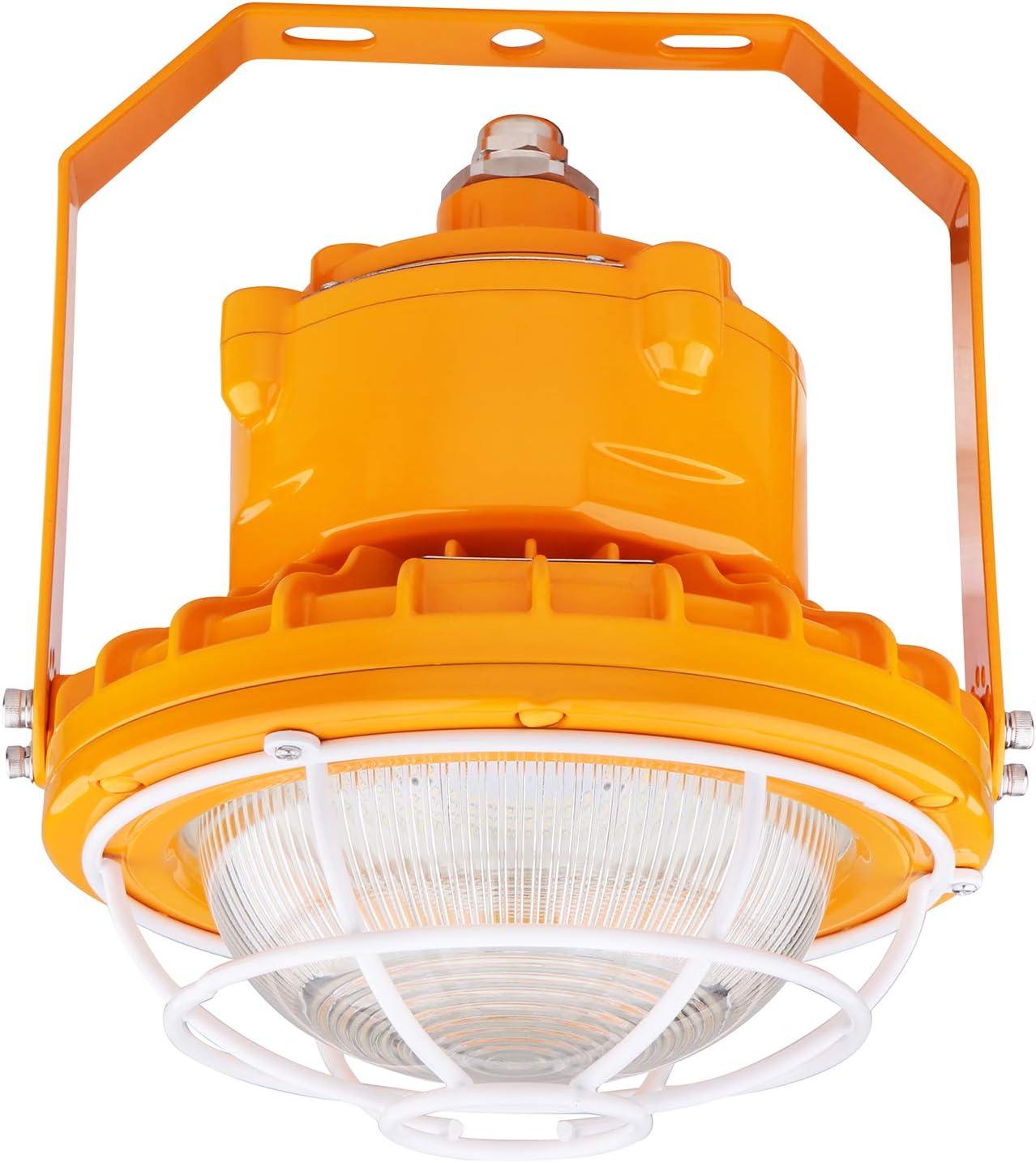 LED Explosion Proof Light